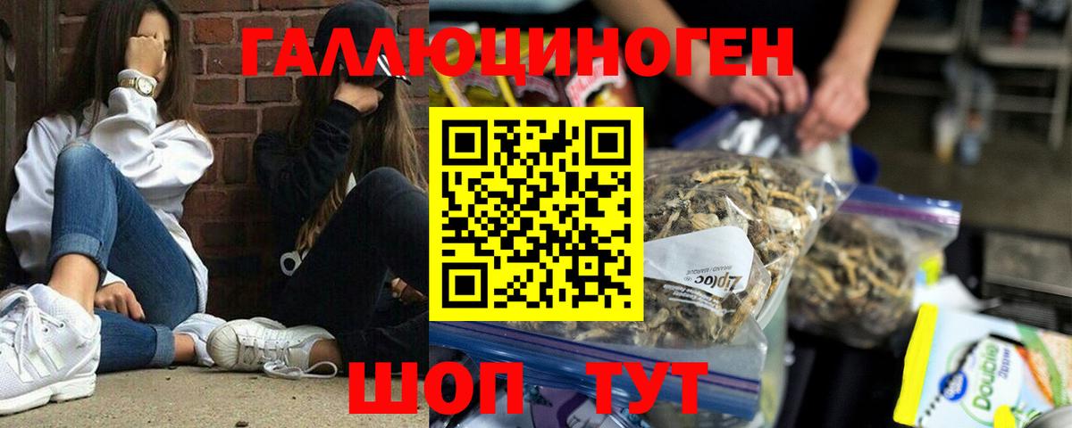 купить наркотики цена  Псилоцибиновые грибы Cubensis  Вход с VPN  Реж 